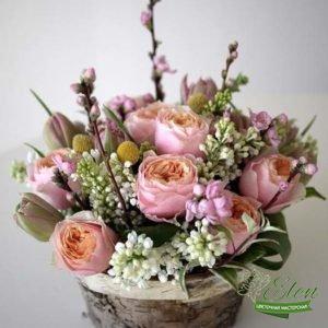 Само Совершенство