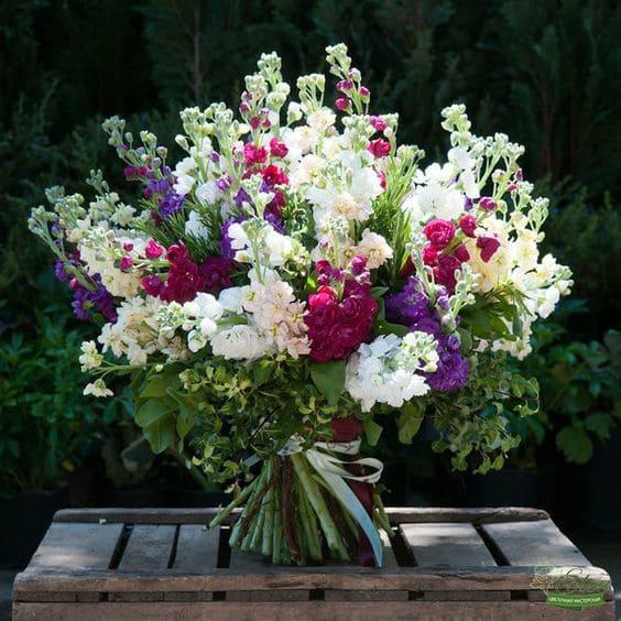 Букет матиолы Летнее настроение