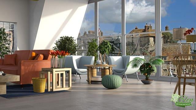 Фитодизайн квартиры