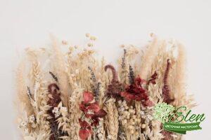 Сухие растения