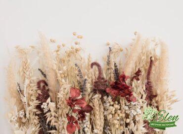 Сухие растения